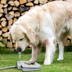 Automatic Outdoor Dog Water Fountain Pet Supplies
