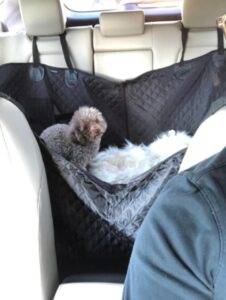 Dog Car Seat Cover Pet Supplies