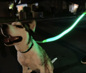 LED Dog Leash Pet Supplies